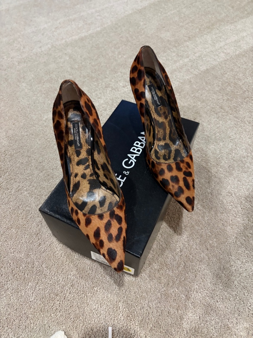Dolce & Gabbana  Leopard Calfskin pumps